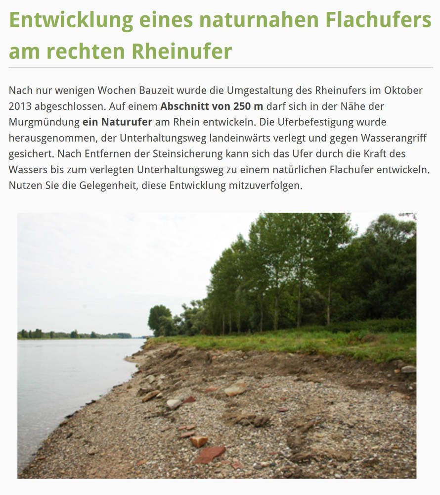 Text 1: Entwicklung eines naturnahen Flachufers am rechten Rheinufer
