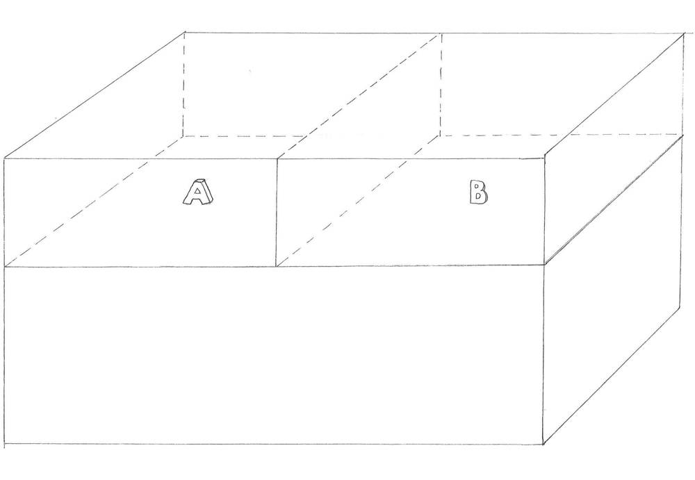 Abbildung 4: A: Rodungsraum und B: Weideraum: Teilräume im Behälterraum